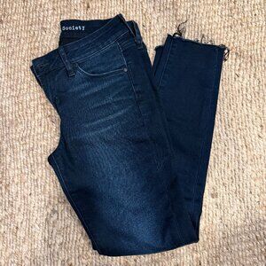 Articles of Society Jeans Size 24 Straight Leg Petite